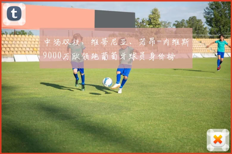 中场双核，维蒂尼亚、若昂-内维斯9000万欧领跑葡萄牙球员身价榜